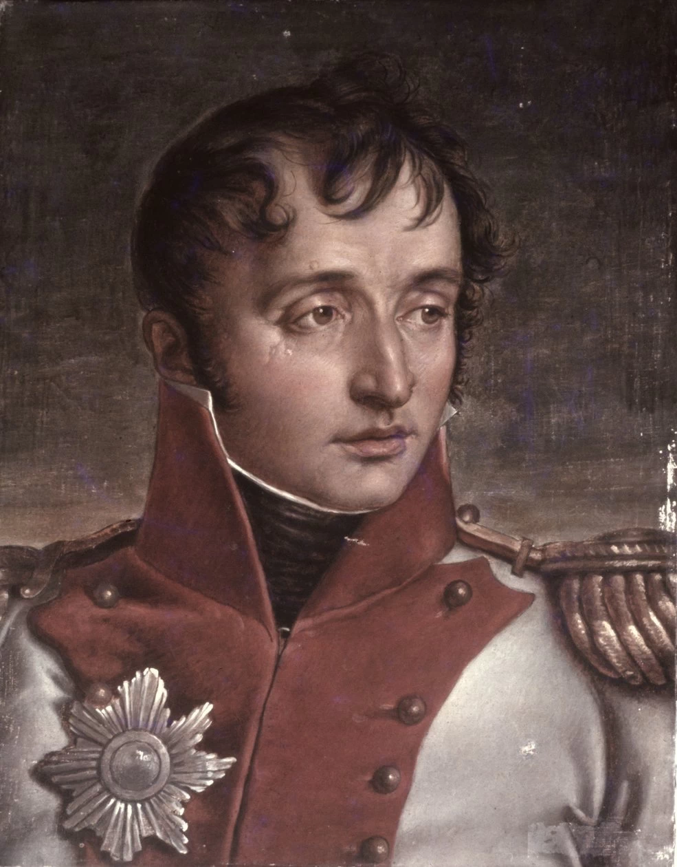 Jean - Baptiste Wicar, Ritratto di Luigi Bonaparte Re d'Olanda